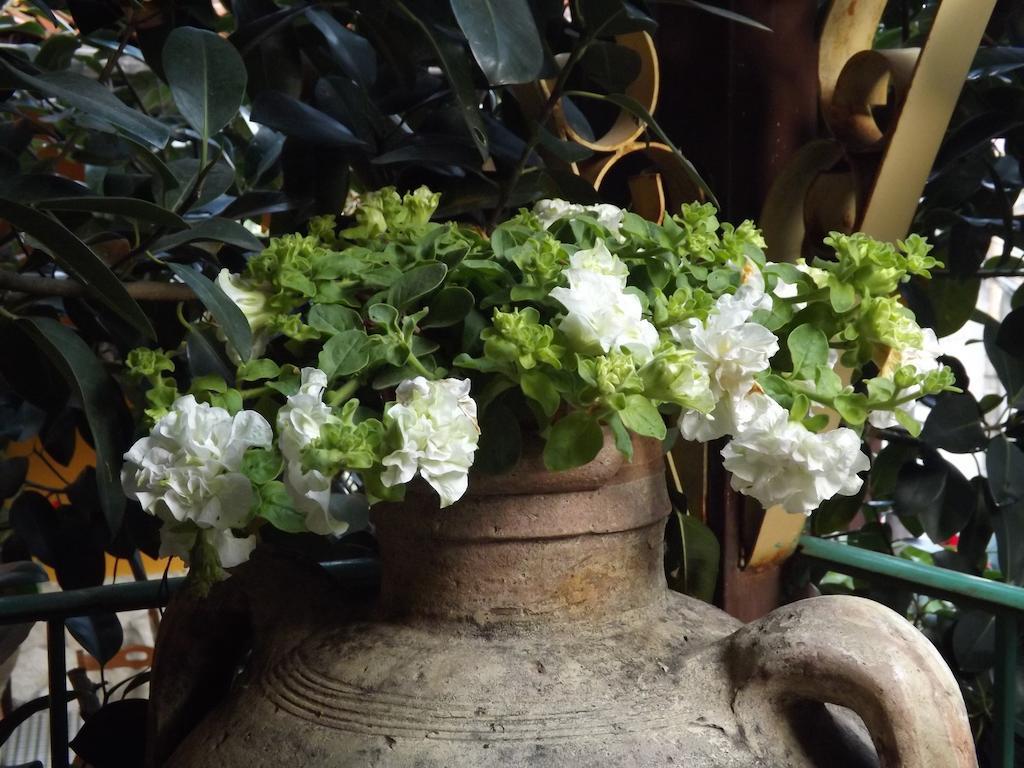 Albergo Diffuso Borgo Santa Caterina "Vintage" Castiglione De Sicilia Eksteriør bilde