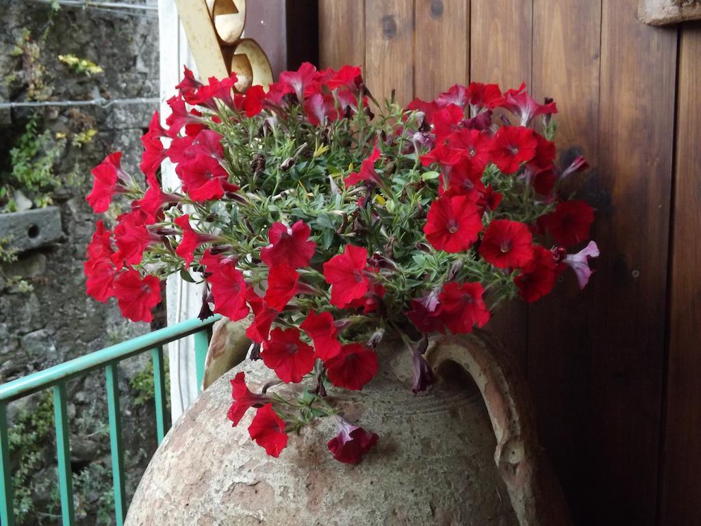 Albergo Diffuso Borgo Santa Caterina "Vintage" Castiglione De Sicilia Eksteriør bilde